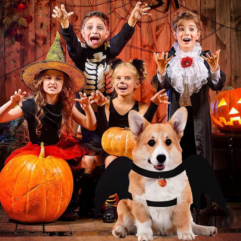 Huifengjie Denevér Szárnyak Kutyának L-es Halloween Jelmez Tökös Csengővel