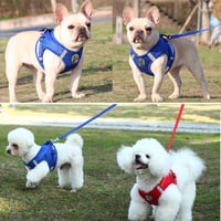 Hund&Kutz Kutya Hám Szett Pórázzal, Állítható Mellény Kutyáknak és Macskáknak, Fényvisszaverő Csíkokkal, Kék S Méret 6