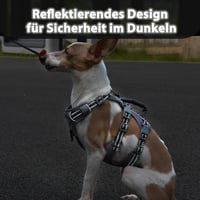 Huntboo Biztonsági Kutyahám Szökésmentes Reflektoros XS Méret Fekete 4