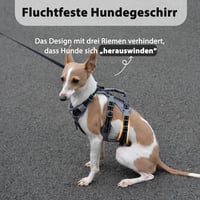 Huntboo Biztonsági Kutyahám Szökésmentes Reflektoros XS Méret Fekete 3