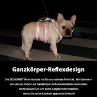 Huntboo Kutyahám Reflektoros Szövetből M Méret Fekete 4