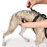 Ham pentru câini HUNTER Vario Rapid cu închidere de siguranță anti-panică și chinstrap suplimentar, anti-evadare, reglabil, poate fi utilizat și ca ham în formă de Y, negru, mărimea S-M 7