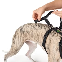 Ham pentru câini HUNTER Vario Rapid cu închidere de siguranță anti-panică și chinstrap suplimentar, anti-evadare, reglabil, poate fi utilizat și ca ham în formă de Y, negru, mărimea S-M 6