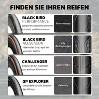 Anvelopă Cursieră Hutchinson Black Bird Allseason Aramid ProTech 700x28 Tubetype Pliabilă Negru/Tan 5