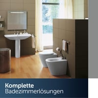 Ideal Standard K706101 Original Tonic WC daska sa soft-close mehanizmom, zglobovima od nehrđajućeg čelika i funkcijom brzog skidanja 8