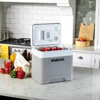 Elektrický chladiaci box Igloo IE24 DC – sivý – 24 litrov 2