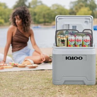 Elektrická chladiaca autochladnička Igloo IE27, 27 l – 12 V a 230 V – prenosná mini chladnička na cesty, kempovanie a do člnov s priehradkou na kábel a režimom Eco/Max 2