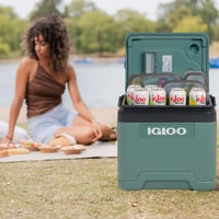 Elektrická chladiaca taška Igloo IE27 27 l, 12 V a 230 V, mini autochladnička na kempovanie, čln a festivaly, prenosná, s úložným priestorom na kábel 2