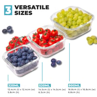Igluu Meal Prep Négyzetes Üveg Ételtároló Doboz Tetővel – 3 db-os Készlet, Vegyes Méretekben 3