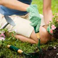 Il Paese Verde Orchidea Tápszer - Ásványi Szerves Műtrágya Virágzáshoz 7