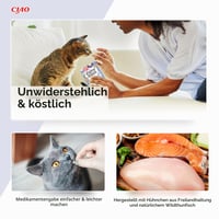 Recompensă pentru pisici INABA Juicy Bites cu aromă de pui și crab – 6 x 33,9 g 3