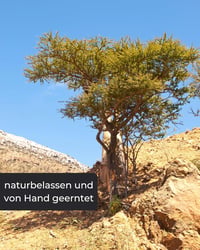 Incensera Oman füstölő gyanta 50g - prémium frankincenzum füstöléshez 6