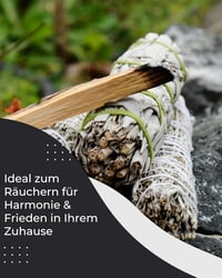 Incensera Palo Santo és White Sage füstölő szett - 2 db fehér zsálya, 4 db palo santo 2
