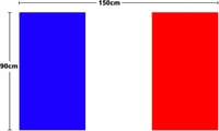 INFLATION Stâlp de Aluminiu pentru Steag, 150-180 cm, cu Inel Rotativ, Steag German și Set de 5 Steaguri Opționale 2