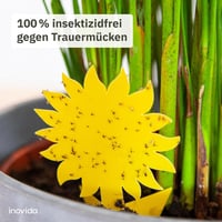 Inovida sárga ragacsos rovarcsapda szobanövényekhez, rovarirtó szer nélkül - 30 db 2