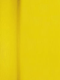 Interdruk Krepový papier v rolke pre deti a na dekorovanie - 10 ks, 50x200 cm, 28 g/m², žltá (04) 2