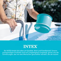 Intex Deluxe nástenný hladinový skimmer 28000E, sivý, zberač nečistôt do bazéna, 33x21x33 cm 6