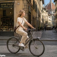 Kovový predný košík na bicykel IPEA – 35 x 27 x 24 cm 10