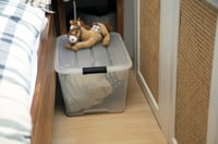 Priehľadný úložný box s vekom Iris Ohyama TB-45, 45 l, súprava 6 ks, so zaklapávacím uzáverom, stohovateľný, na oblečenie, do garáže, do kancelárie 2