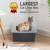 Iris Ohyama XXL Macskatoalett Magas Peremmel Szürke Nagy Macskáknak Levehető Perem Szivárgásmentes - Katzenklo XXL, gray 3
