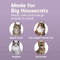 Iris Ohyama XXL Macskatoalett Magas Peremmel Szürke Nagy Macskáknak Levehető Perem Szivárgásmentes - Katzenklo XXL, gray 4