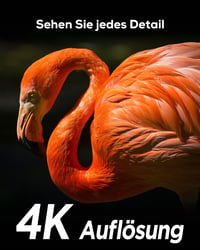 iZEEKER 4K 48MP WiFi vadkamera, dupla lencsével és éjjellátóval, 32GB SD-kártyával 4