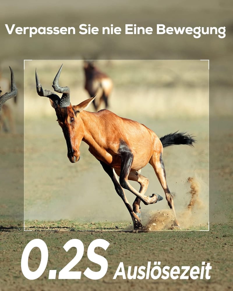 iZEEKER Vadvilág Kamera 940nm Infravörös, Mozgásérzékelő, Éjjellátó, IP66 Vízálló