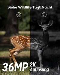 iZEEKER Vadvilág Kamera 940nm Infravörös, Mozgásérzékelő, Éjjellátó, IP66 Vízálló 6