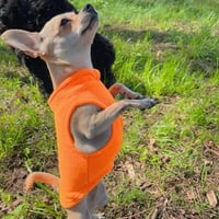 Vestă din fleece Jacko & Co pentru câini și pisici - Moale, ușoară, respirabilă, portocalie, mărimea XXL (10,8-15,9 kg), îmbrăcăminte pentru toamnă/iarnă 9