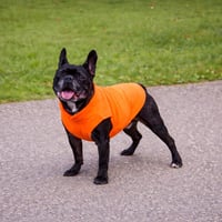 Vestă din fleece Jacko & Co pentru câini și pisici - Moale, ușoară, respirabilă, portocalie, mărimea XXL (10,8-15,9 kg), îmbrăcăminte pentru toamnă/iarnă 3