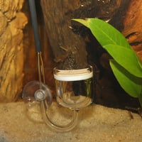 JBL PROFLORA CO2 Taifun Glass Maxi CO2-diffúzor akváriumi növényekhez - Üveg kivitelű szén-dioxid porlasztó 3