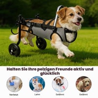 Jinfanshurich invalidný vozík pre psov na zadné nohy, nastaviteľná rehabilitačná pomôcka s priedušnou sieťovinou a bezpečnostnými prackami, ľahký hliníkový rám pre malé psy a mačky 6