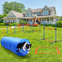 JMMPOO 65 Részes Agility Készlet Kutyáknak - Akadálypálya Tréning Felszerelés Alagúttal 2
