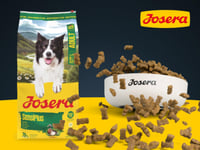 Suché krmivo pre psov Josera SensiPlus s kačacinou a ryžou, pre dospelých psov s citlivým trávením, bezlepkové, 12,5 kg 4