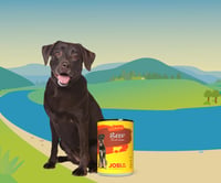 Hrană umedă pentru câini JosiDog Beef in Sauce cu vită în sos – 12 x 415 g 10