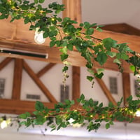 Ghirlandă cu iederă artificială Jostift cu șir luminos LED, verde, 3 m, cu 20 de clipsuri de fixare, set de 2 decorațiuni de perete, pentru balcon, nuntă, petrecere 6