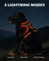 Joytale LED kutya hám kis kutyáknak, fényvisszaverő, töltethető, lila S 2