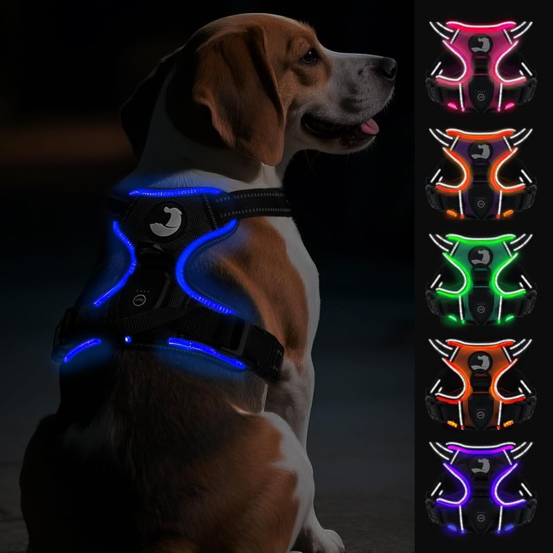 Joytale LED kutya hám közepes kutyáknak, fényvisszaverő, töltethető, fekete-kék M