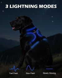 Joytale LED kutya hám közepes kutyáknak, fényvisszaverő, töltethető, fekete-kék M 2