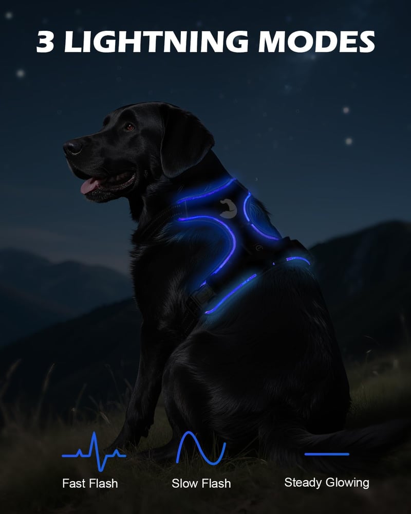 Joytale LED kutya hám közepes kutyáknak, fényvisszaverő, töltethető, fekete-kék M