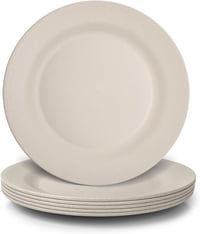 JSYMJSY 6 részes 25 cm-es műanyag tányérkészlet, szürke, ütésálló, mosogatógépben mosható 1