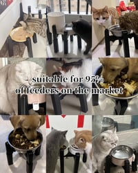 JUNSPOW Dupla Kutyatál Állvány Állítható Magassággal Nagy Kutyáknak 6