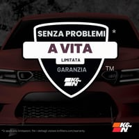 K&N 33-3051 Zamjenski filter zraka - periv i višekratan, za motore BMW 120i 125i 220i 230i 320i 330e 340i 420i (2015-2019) 7