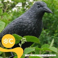 KADAX Fekete Holló Madárijesztő - Műanyag Galamb és Kismadár Riasztó, Természetes Kártevő Védelem Kertbe, Erkélyre 7