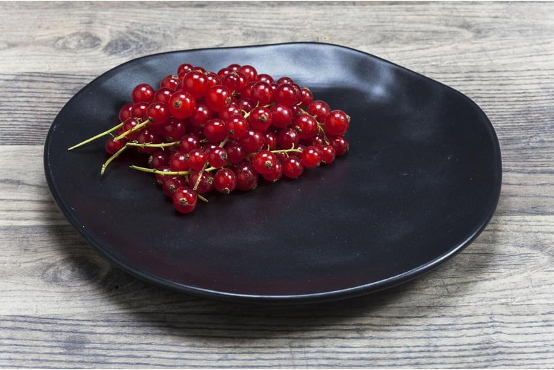KARE Teller Organic 16 részes fekete kerámia étkészlet 20 cm tányér