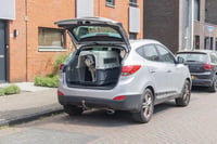 Prepravný box do lietadla Karlie Nomad XXL pre psov – 100 x 67 x 75 cm, do 50 kg, vhodný na leteckú prepravu 9