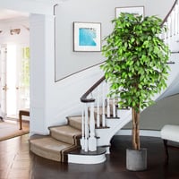 Umelý fikus Keeplush 210 cm, s kmeňom z prírodného dreva, realistická umelá rastlina, veľký zelený umelý strom do obývačky, spálne, kancelárie či na záhradu 6