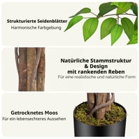 Umelý fikus Keeplush 210 cm, s kmeňom z prírodného dreva, realistická umelá rastlina, veľký zelený umelý strom do obývačky, spálne, kancelárie či na záhradu 4