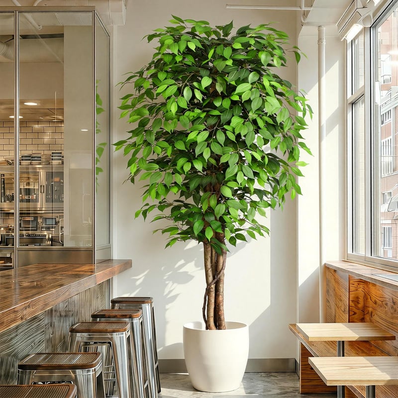 Umelý fikus Keeplush 210 cm, s kmeňom z prírodného dreva, realistická umelá rastlina, veľký zelený umelý strom do obývačky, spálne, kancelárie či na záhradu