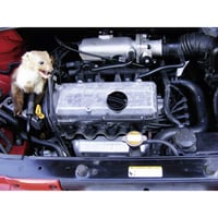 KEMO M186 Odpudzovač kún do auta 12 V/DC elektrický výboj 200 – 300 V vysokofrekvenčný ultrazvuk ochrana vozidiel proti kunám čierny 2